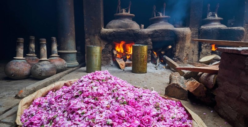 Fragrance Manufacturing Unit of Kannauj