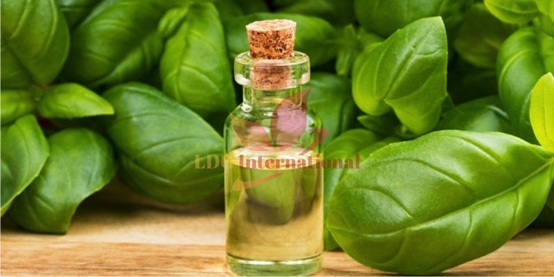 Basil Oil