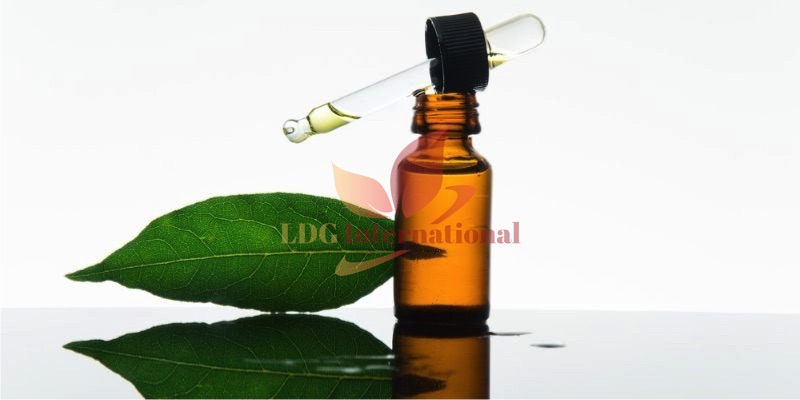 Bay Leaf Oil