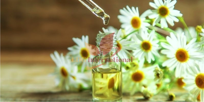 Chamomile Oil