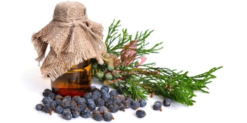 Juniperberry Oil