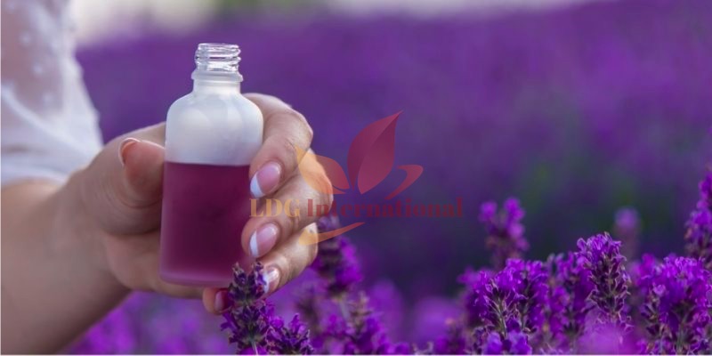 Lavender Oil