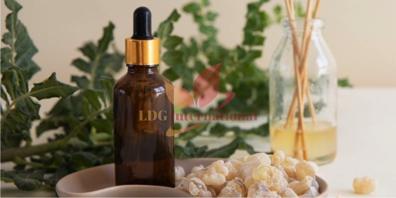 Olibanum Oil