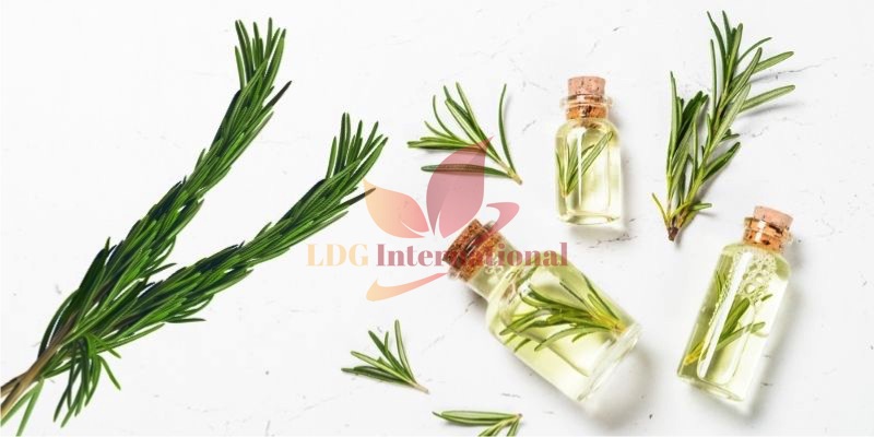 Rosemary Oil