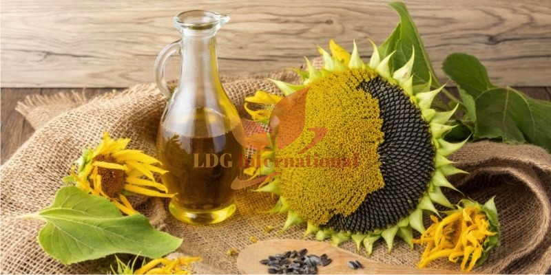 Sunflower Oil