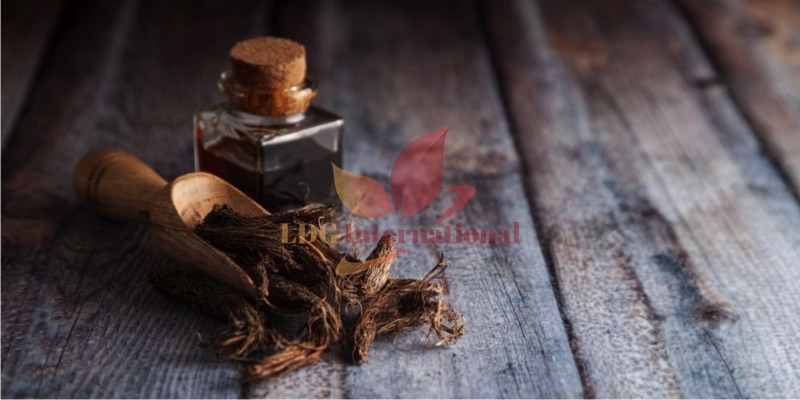 Spikenard Oil